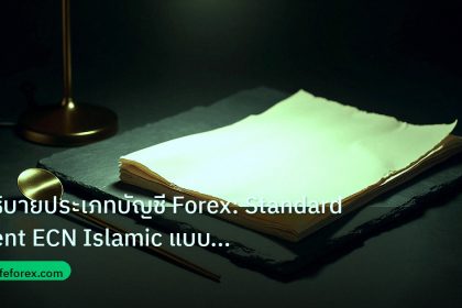 forex | อธิบายประเภทบัญชี Forex: Standard Cent ECN Islamic แบบเจาะลึ