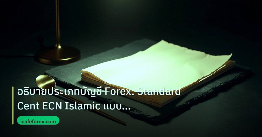 forex | อธิบายประเภทบัญชี Forex: Standard Cent ECN Islamic แบบเจาะลึ
