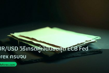 forex | EUR/USD วิธีเทรดคู่เงินนิยมสุด ECB Fed Forex ครบจบ