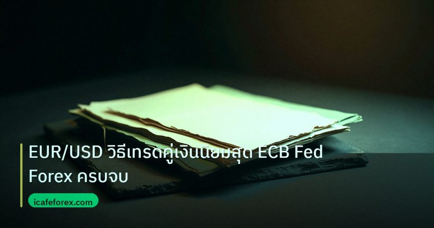 forex | EUR/USD วิธีเทรดคู่เงินนิยมสุด ECB Fed Forex ครบจบ