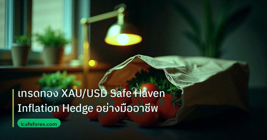 inflation | เทรดทอง XAU/USD Safe Haven Inflation Hedge อย่างมืออาชีพ