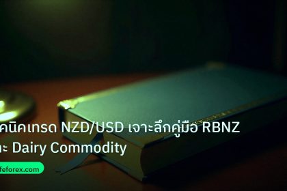 scb_manual | เทคนิคเทรด NZD/USD เจาะลึกคู่มือ RBNZ และ Dairy Commodity