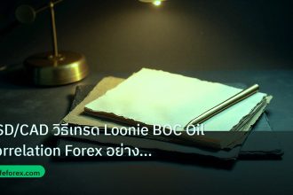 forex | USD/CAD วิธีเทรด Loonie BOC Oil Correlation Forex อย่างมืออา
