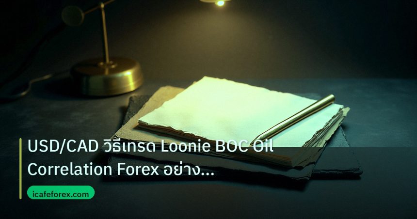 forex | USD/CAD วิธีเทรด Loonie BOC Oil Correlation Forex อย่างมืออา