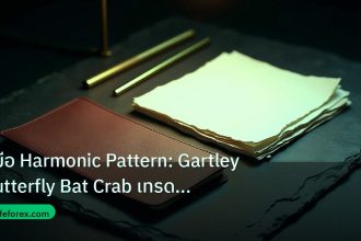 forex | คู่มือ Harmonic Pattern: Gartley Butterfly Bat Crab เทรด For