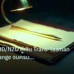 forex | เจาะลึก AUD/NZD คู่เงิน Trans-Tasman วิธีเทรด Range จบครบสูต