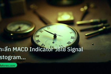 indicator | เจาะลึก MACD Indicator วิธีใช้ Signal Histogram Divergence F