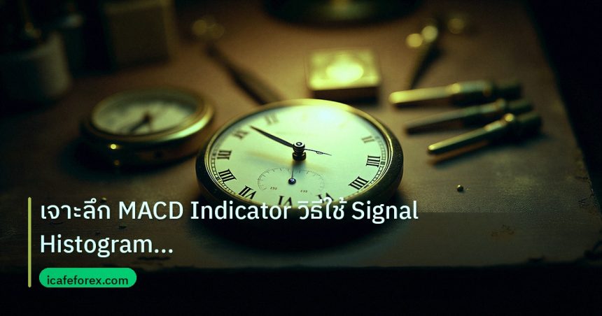 indicator | เจาะลึก MACD Indicator วิธีใช้ Signal Histogram Divergence F