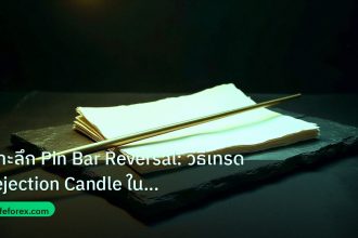 forex | เจาะลึก Pin Bar Reversal: วิธีเทรด Rejection Candle ในตลาด F