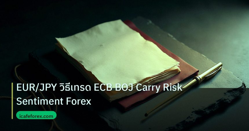 forex | EUR/JPY วิธีเทรด ECB BOJ Carry Risk Sentiment Forex