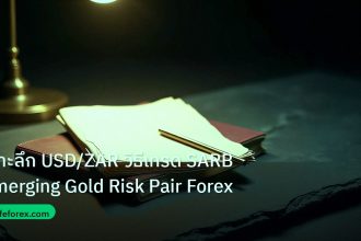 forex | เจาะลึก USD/ZAR วิธีเทรด SARB Emerging Gold Risk Pair Forex