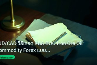 forex | AUD/CAD วิธีเทรด RBA BOC Iron Ore Oil Commodity Forex แบบเซี