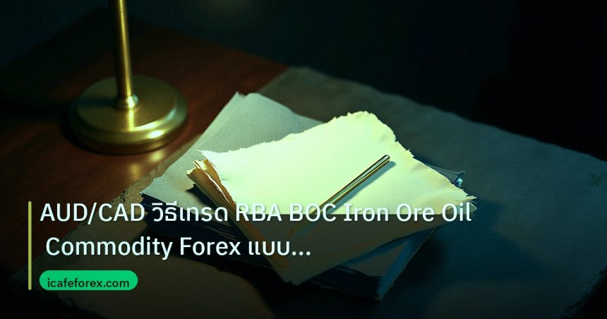 forex | AUD/CAD วิธีเทรด RBA BOC Iron Ore Oil Commodity Forex แบบเซี