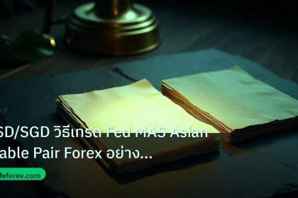 forex | USD/SGD วิธีเทรด Fed MAS Asian Stable Pair Forex อย่างมืออาช