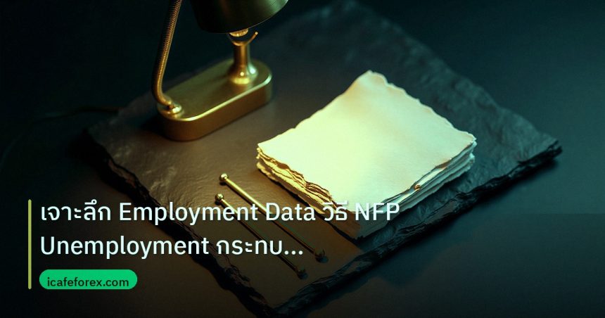 forex | เจาะลึก Employment Data วิธี NFP Unemployment กระทบค่าเงิน F