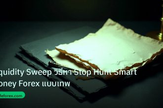 forex | Liquidity Sweep วิธีหา Stop Hunt Smart Money Forex แบบเทพ