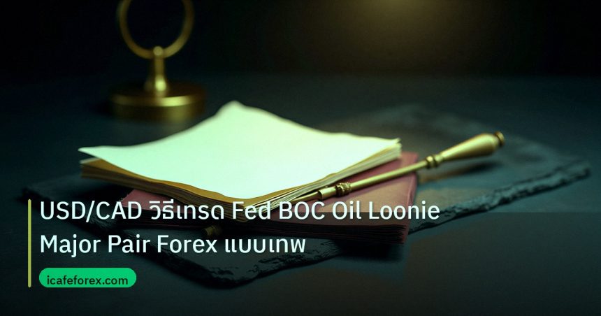 forex | USD/CAD วิธีเทรด Fed BOC Oil Loonie Major Pair Forex แบบเทพ