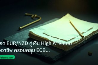 forex | เทรด EUR/NZD คู่เงิน High ATR แบบมืออาชีพ ครอบคลุม ECB และ R