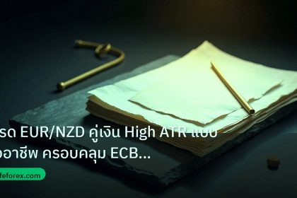 forex | เทรด EUR/NZD คู่เงิน High ATR แบบมืออาชีพ ครอบคลุม ECB และ R