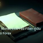 forex | EUR/USD วิธีเทรด ECB Fed Fiber คู่เงิน Liquid ที่สุด Forex