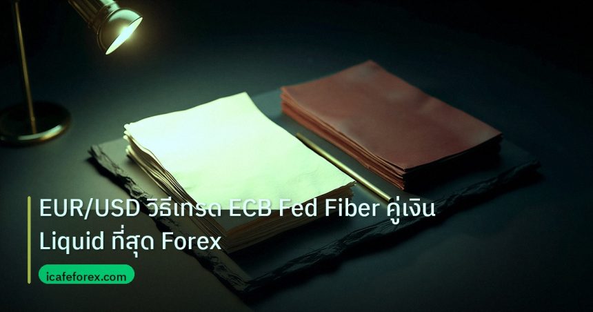 forex | EUR/USD วิธีเทรด ECB Fed Fiber คู่เงิน Liquid ที่สุด Forex