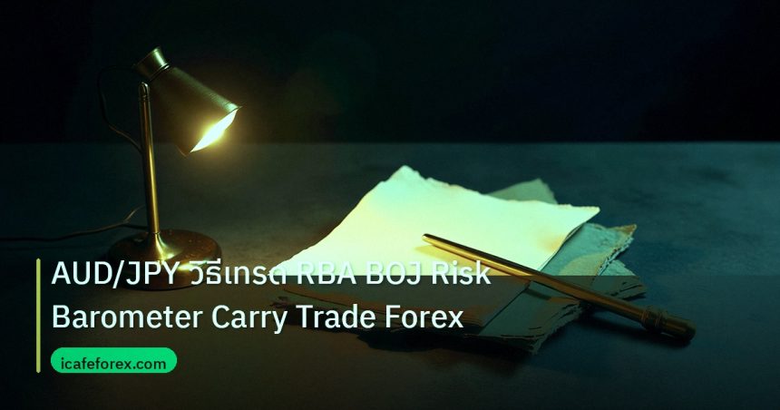 forex | AUD/JPY วิธีเทรด RBA BOJ Risk Barometer Carry Trade Forex