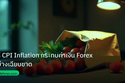 inflation | วิธี CPI Inflation กระทบค่าเงิน Forex อย่างเฉียบขาด