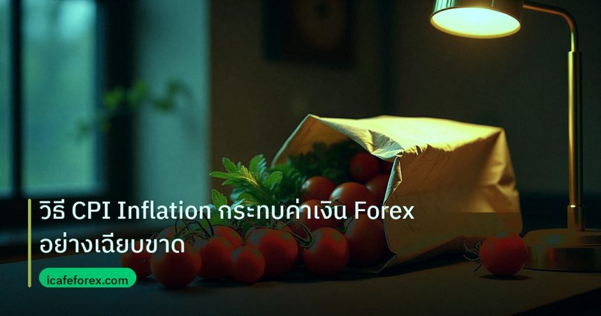 inflation | วิธี CPI Inflation กระทบค่าเงิน Forex อย่างเฉียบขาด
