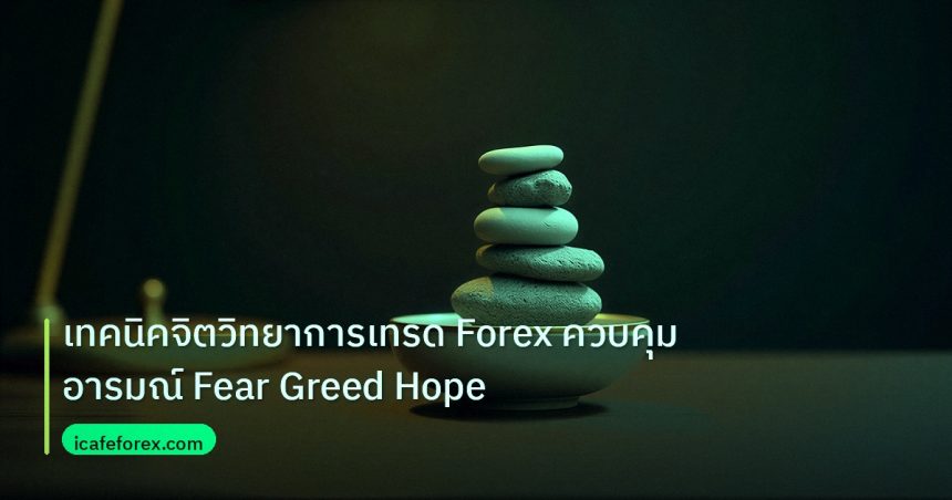 psychology | เทคนิคจิตวิทยาการเทรด Forex ควบคุมอารมณ์ Fear Greed Hope