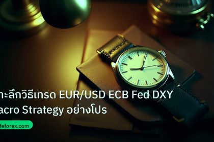 trading | เจาะลึกวิธีเทรด EUR/USD ECB Fed DXY Macro Strategy อย่างโปร