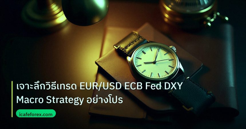 trading | เจาะลึกวิธีเทรด EUR/USD ECB Fed DXY Macro Strategy อย่างโปร