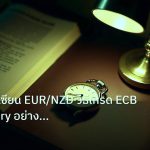 trading | คู่มือระดับเซียน EUR/NZD วิธีเทรด ECB RBNZ Dairy อย่างมืออาช