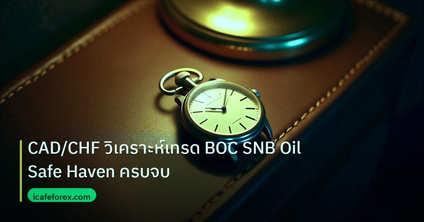 trading | CAD/CHF วิเคราะห์เทรด BOC SNB Oil Safe Haven ครบจบ