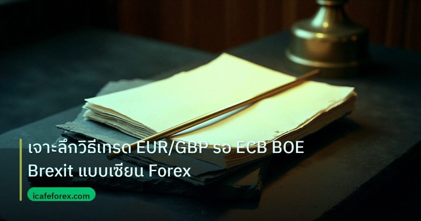 forex | เจาะลึกวิธีเทรด EUR/GBP รอ ECB BOE Brexit แบบเซียน Forex