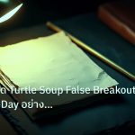 forex | เทคนิคเทรด Turtle Soup False Breakout Forex 20-Day อย่างมืออ
