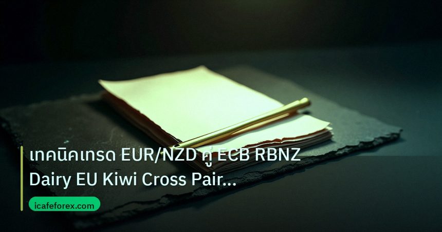 forex | เทคนิคเทรด EUR/NZD คู่ ECB RBNZ Dairy EU Kiwi Cross Pair For
