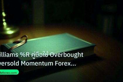 scb_manual | Williams %R คู่มือใช้ Overbought Oversold Momentum Forex แบบ
