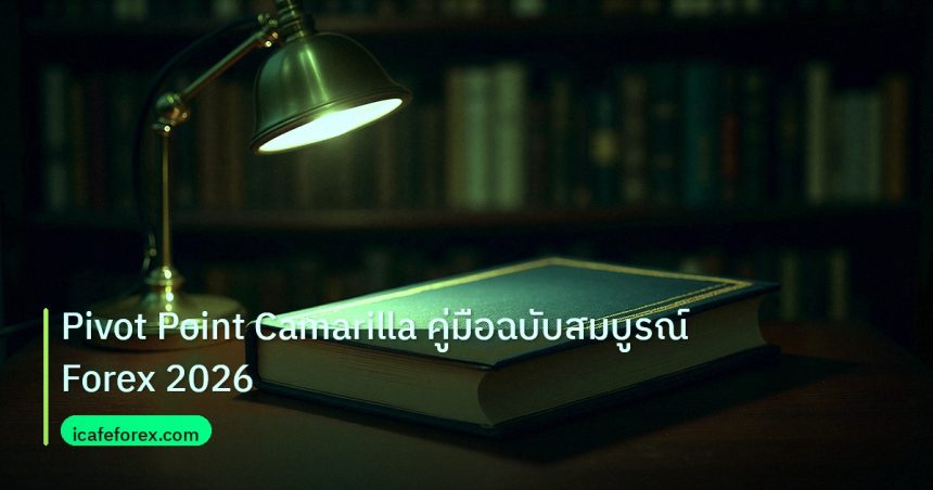 scb_manual | Pivot Point Camarilla คู่มือฉบับสมบูรณ์ Forex 2026