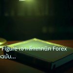 scb_manual | Point and Figure เจาะลึกเทคนิค Forex 2026 คู่มือฉบับปรมาจารย
