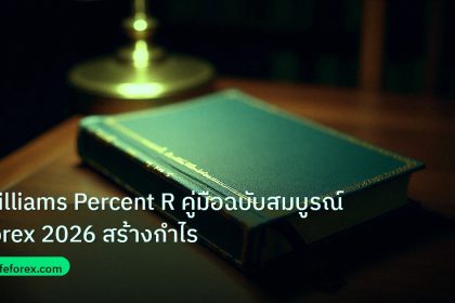 scb_manual | Williams Percent R คู่มือฉบับสมบูรณ์ Forex 2026 สร้างกำไร