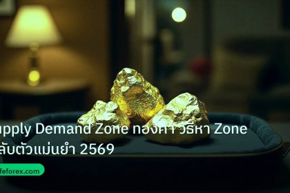 gold_daily | Supply Demand Zone ทองคำ วิธีหา Zone กลับตัวแม่นยำ 2569