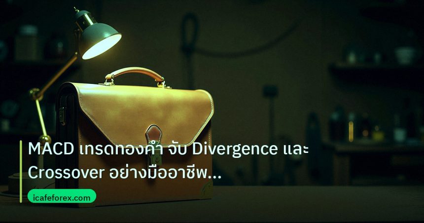 career | MACD เทรดทองคำ จับ Divergence และ Crossover อย่างมืออาชีพ 25