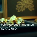 gold_daily | คู่มือ Pivot Point จุดหมุนราคาทองเทรดง่าย พิชิตกำไร XAU USD