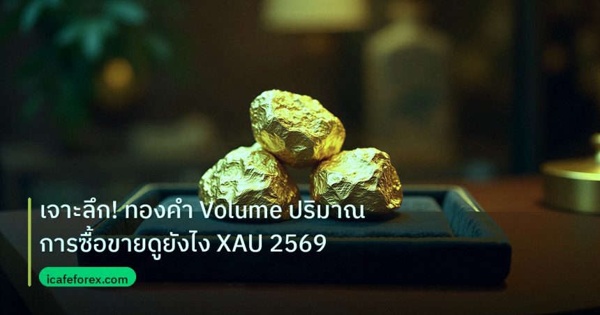 gold_daily | เจาะลึก! ทองคำ Volume ปริมาณการซื้อขายดูยังไง XAU 2569