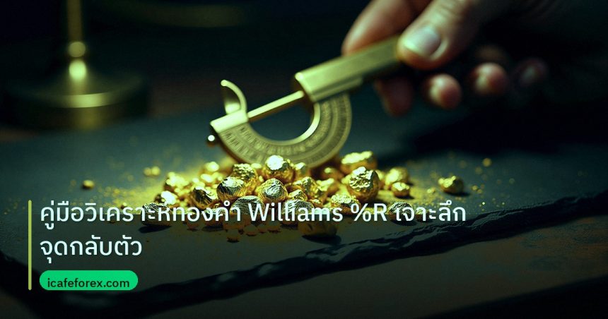gold_analysis | คู่มือวิเคราะห์ทองคำ Williams %R เจาะลึกจุดกลับตัว