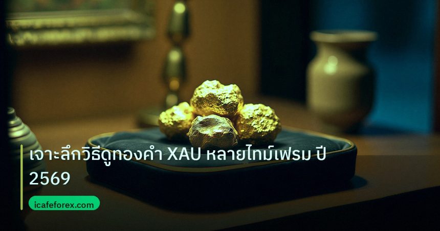 gold_daily | เจาะลึกวิธีดูทองคำ XAU หลายไทม์เฟรม ปี 2569