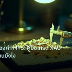 gold_analysis | วิเคราะห์ทองคำ MT5: คู่มือเทรด XAU 2569 ใช้งานยังไง