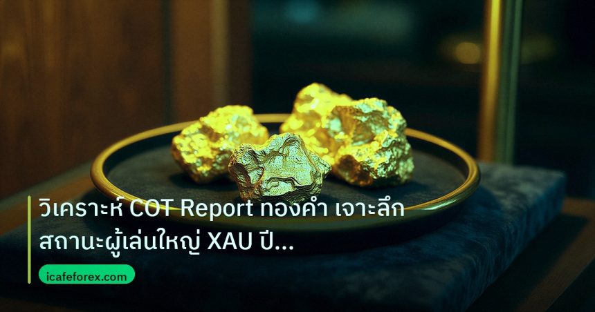 gold_daily | วิเคราะห์ COT Report ทองคำ เจาะลึกสถานะผู้เล่นใหญ่ XAU ปี 25