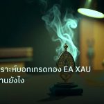 ea_bot | เทคนิควิเคราะห์บอทเทรดทอง EA XAU 2569 ทำงานยังไง