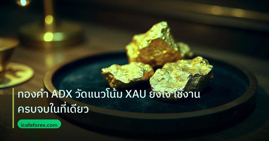 gold_daily | ทองคำ ADX วัดแนวโน้ม XAU ยังไง ใช้งานครบจบในที่เดียว